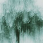 Onbekende telefoonoproepen: wat betekent het nummer +31 486 41 26 80?