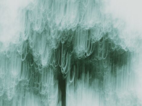 Onbekende telefoonoproepen: wat betekent het nummer +31 486 41 26 80?